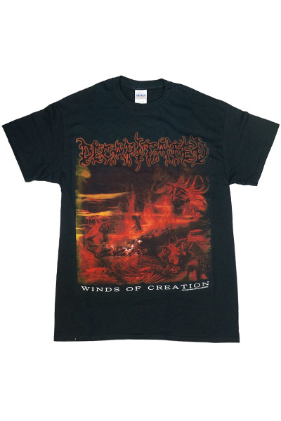 DECAPITATED WINDS OF CREATION　TEE