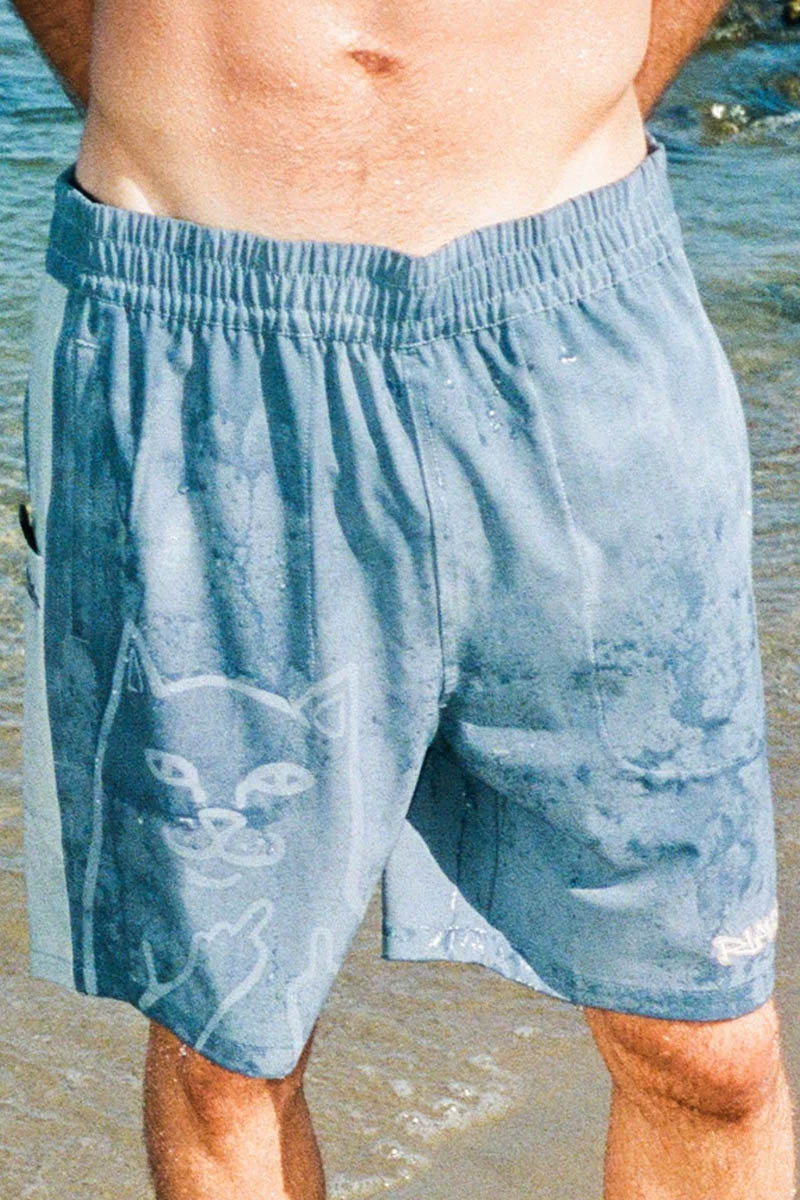 RIPNDIP (リップンディップ) LORD NERMAL SWIM SHORTS - Slate