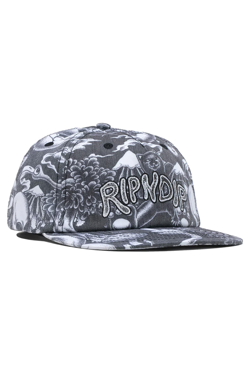 RIPNDIP (リップンディップ)　Dark Twisted Fantasy 6 Panel Hat (Black)