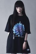 アマツカミ  蒼菊/Chrysanthemum  T-shirts