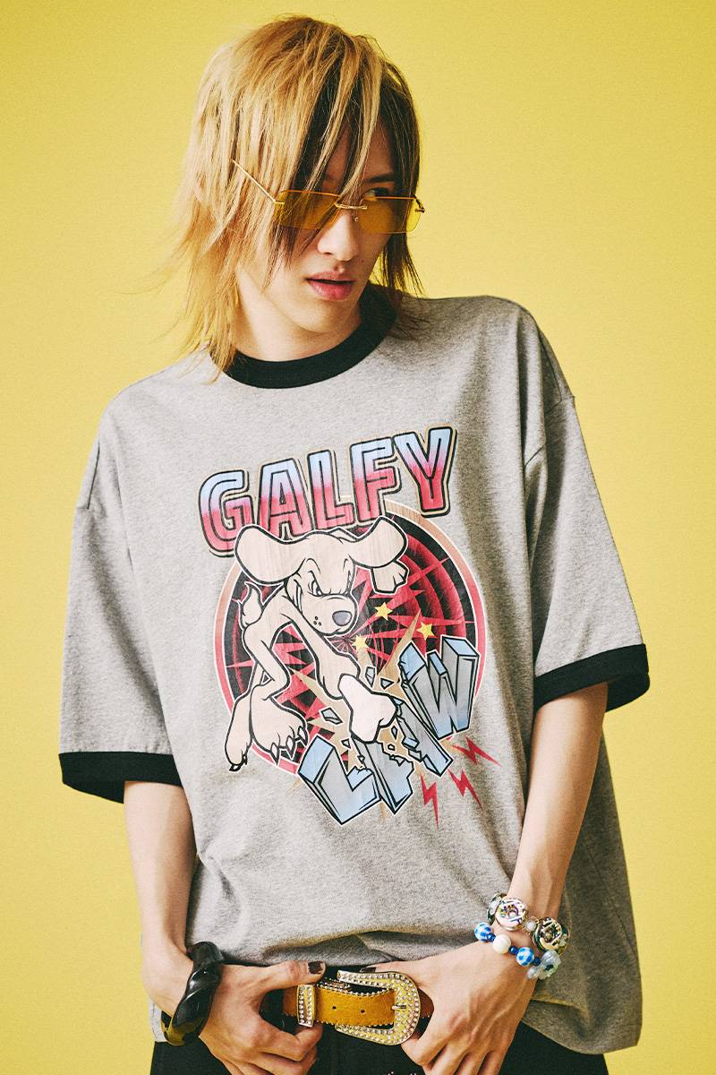 【予約商品】GALFY(ガルフィー)レトロリアル犬リンガー - 杢Gray