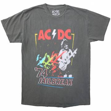 【予約商品】AC/DC バンドTシャツ ユニセックス: Vintage '74 Jailbreak (Grey) - GREY