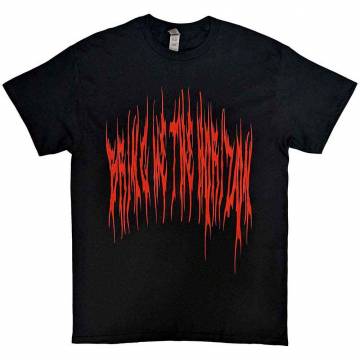 【予約商品】BRING ME THE HORIZON バンドTシャツ ユニセックス: Praying Amen (Black) (Back Print) - BLACK