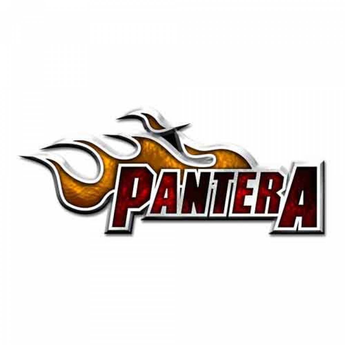 【予約商品】PANTERA Pin Badge: Flame Logo
